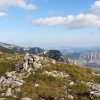 Lejla